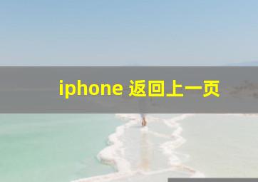 iphone 返回上一页